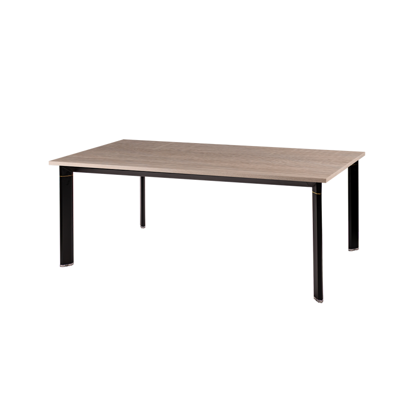 Conference table GRANDE 200x100 cm